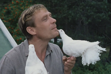 Тематическое фото Кадр из фильма &quotЛюбовь и голуби&quot (12+)