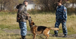 Постановка запаховой задачи Пресс-служба УМВД России по Магаданской области