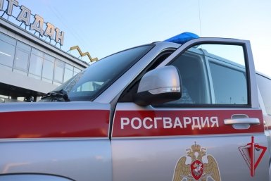 Тематическое фото 
