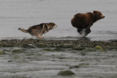 Тематическое фото Игорь Чёрный, MagadanMedia