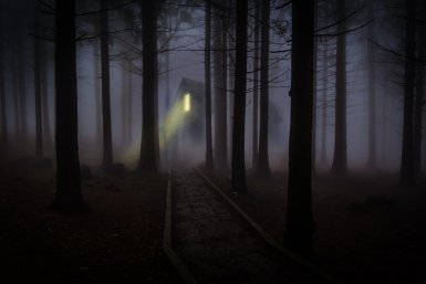 Тематическая иллюстрация Photo by form PxHere