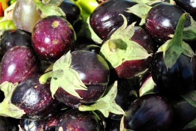 Тематическая иллюстрация Photo by form PxHere