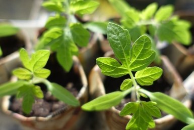 Тематическая иллюстрация Photo by form PxHere