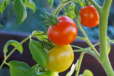 Тематическая иллюстрация Photo by form PxHere