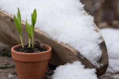 Тематическая иллюстрация giga.chat