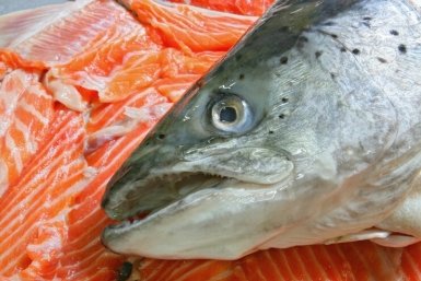 Тематическое фото Прокуратура Магаданской области