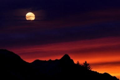 Тематическая иллюстрация Photo by form PxHere