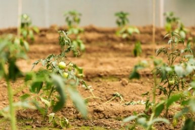 Тематическая иллюстрация Image by freepik