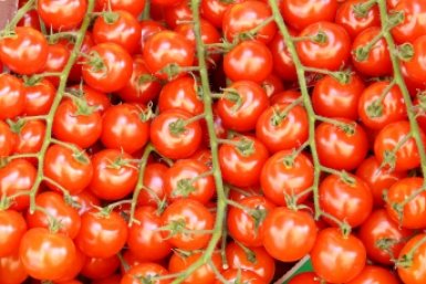 Тематическая иллюстрация Photo by form PxHere