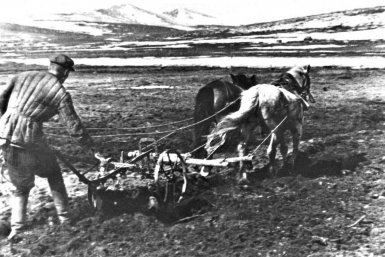 Землепашец. Дукча 1930-е годы из архива Ивана Паникарова