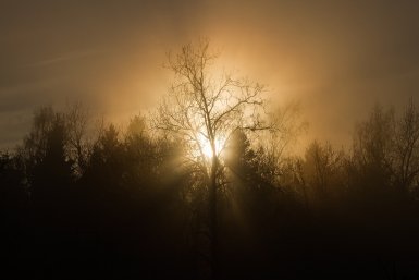 Тематическая иллюстрация Photo by form PxHere