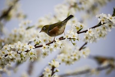 Тематическая иллюстрация Photo by form PxHere