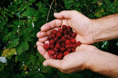 Тематическая иллюстрация Image by wirestock on Freepik