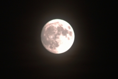 Гороскоп на 16 марта: Весам переосмыслить прошлое, Рыбам продумывать планы