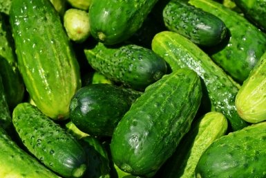 Тематическая иллюстрация Photo by form PxHere