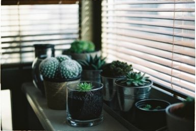 Тематическая иллюстрация Photo by form PxHere