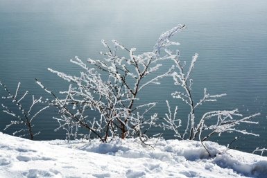 Тематическое фото Людмила Шубина