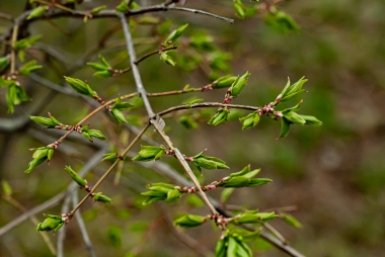 Дачники кидают деньги на ветер: почему удобрения только вредят урожаю Илья Табаченко, ИА PrimaMedia.ru