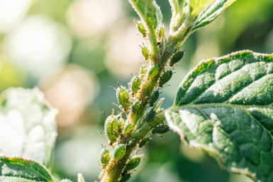 Тематическая иллюстрация Создано при помощи ИИ