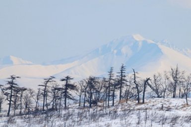 Погода на рабочую неделю в Магадане