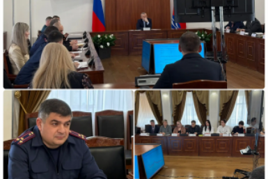 В Правительстве Магаданской области прошло заседание межведомственной рабочей группы по обращению с животными без владельцев в 2025 году Источник