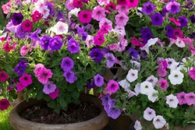 Тематическая иллюстрация Создано при помощи ИИ