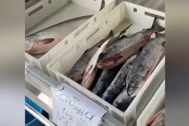 С места происшествия УМВД России по Магаданской области