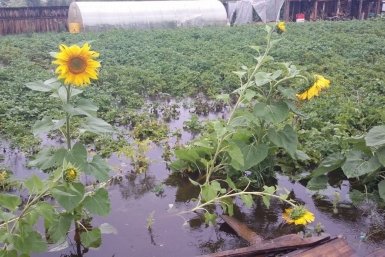 Юг и Сибирь под водой: гидрометцентр зафиксировал критический рост уровня рек