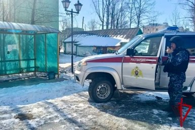 Тематическое фото Росгвардия по Магаданской области