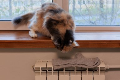 Что управляющая компания должна ремонтировать за свой счет внутри квартиры