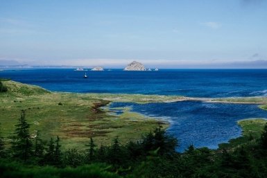 Новость дня