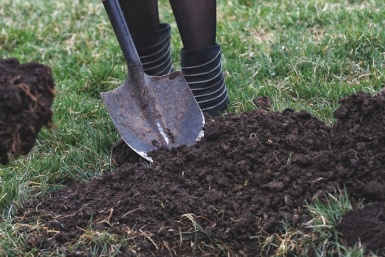Копать — одно удовольствие: случайно узнал этот дедовский трюк с золой — и лопата стала как новая, а грязь не липнет