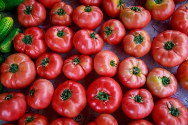 Киньте 1 ложку в лунку - помидоры крепкие, здоровые и всегда мясистые: по 300 г каждый