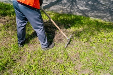 В Магадане городские службы ведут ежедневное сезонное благоустройство Источник