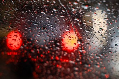 В Магадане в пятницу днем умеренный дождь и до + 16ºС