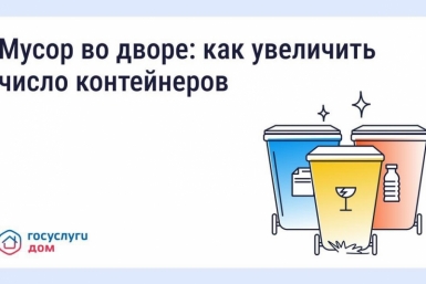 Что делать, если мусорных контейнеров во дворе недостаточно Источник