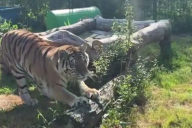 Скриншот видео Телеграм-канал (16+) &quotЭкология – дело каждого!&quot