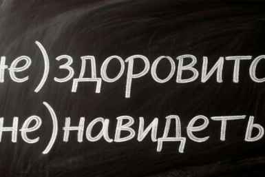 Напишите (не)здоровится, (не)навидеть: Ответит любой 5-клашка - мини-ТЕСТ по русскому