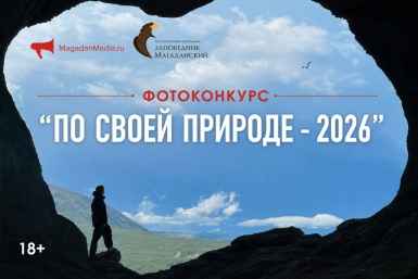 По своей природе 2026 ИА MagadanMedia