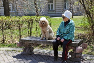 6 ласковых собак для новичков – не грызут мебель и учат команды без тренера