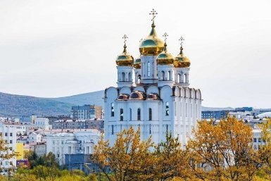 Новость дня