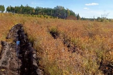 Минерализованная полоса пресс-службы Минприроды Забайкалья