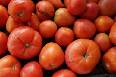 Дачники, нашла томаты со вкусом персика: 10 сортов с фруктовыми нотками, где сок - рекой, а сладкие точно мармелад