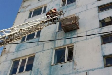 Чайка в погоне за пищей залезла в так называемый &quotколымский холодильник&quot Пресс-служба ДВРПСО МЧС России