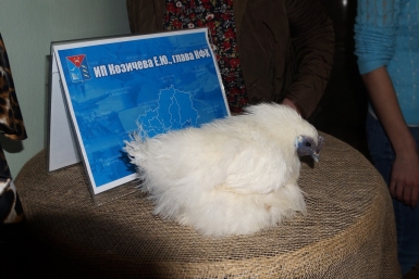 Главные гости Мария Золотарева, MagadanMedia