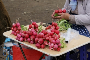 Практически 100% продаваемой сельхозпродукции принадлежит колымским производителям Федосеева Лилия, AmurMedia