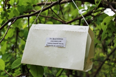 Ловушка Оленникова Мария, IrkutskMedia