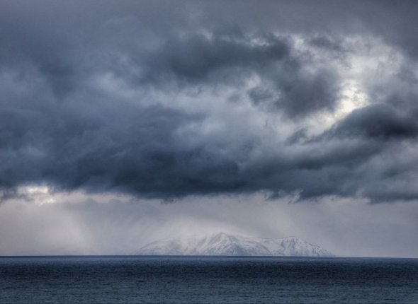 Новость дня