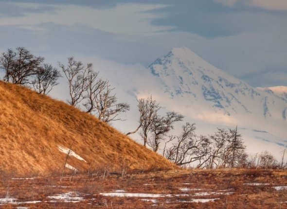 Новость дня