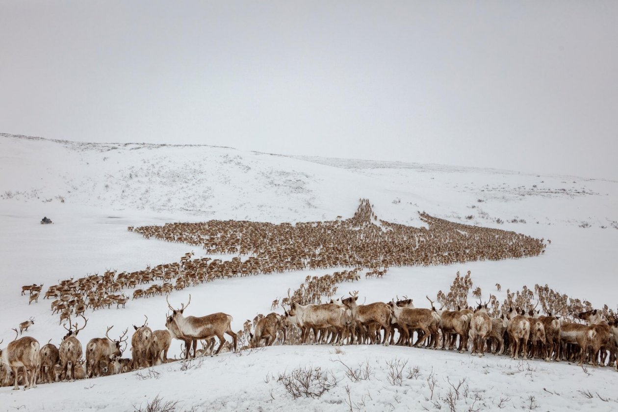 Northwest Territories, Canada